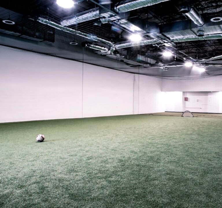 Soccer Field image 2