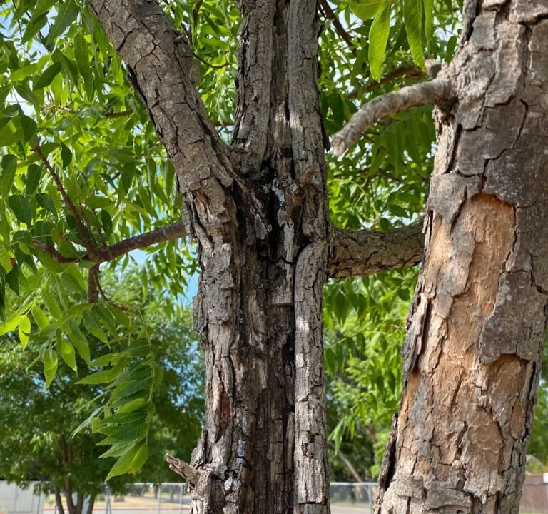 Soccer Field image 2