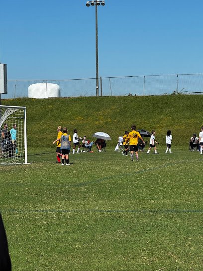 Soccer Field image 1