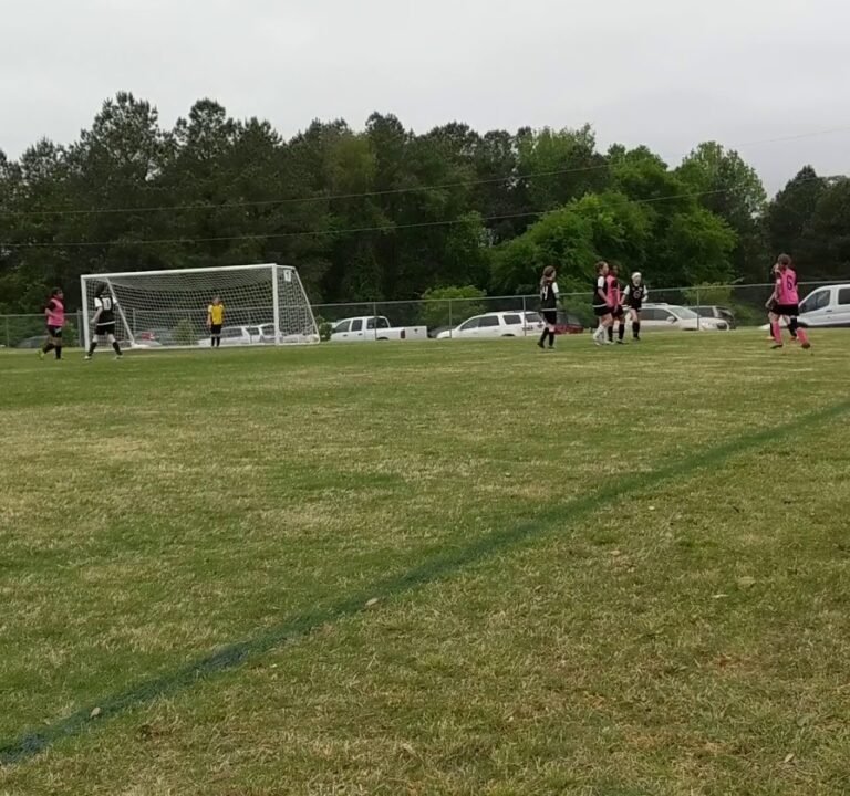 Soccer Field image 4