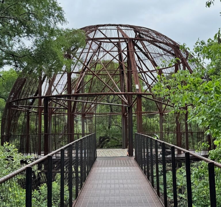 Soccer Field image 2