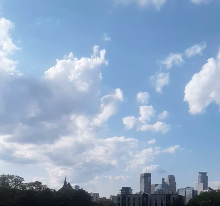 Soccer Field image 4