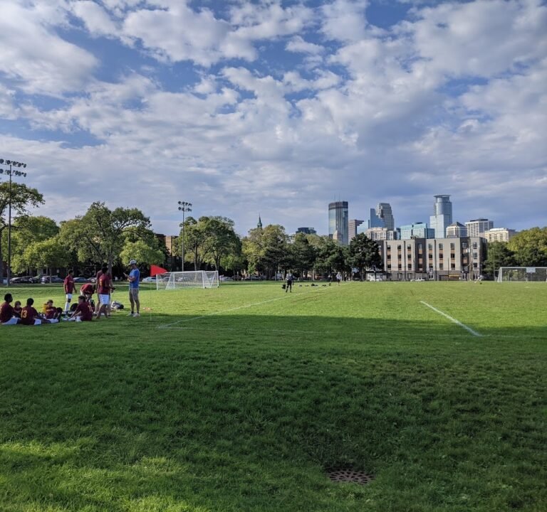 Soccer Field image 2