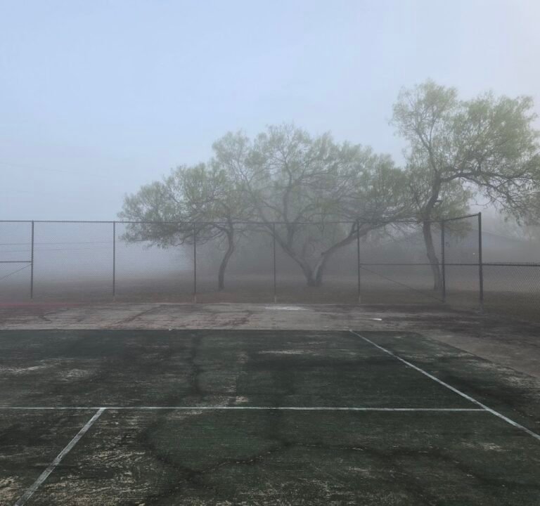 Soccer Field image 3