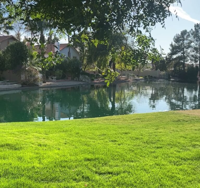 Soccer Field image 4