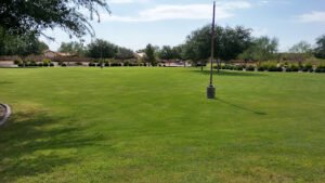 Soccer Field image 1