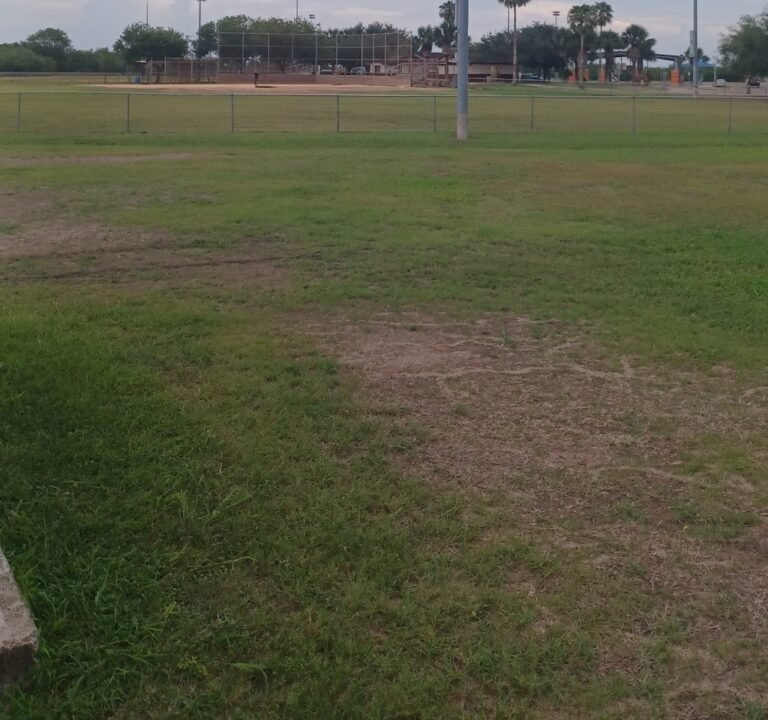 Soccer Field image 2