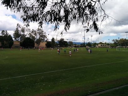 Soccer Field image 1