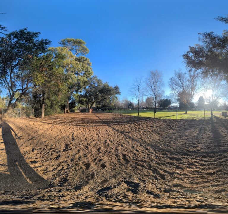 Soccer Field image 3
