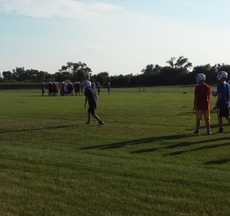 Soccer Field image 2