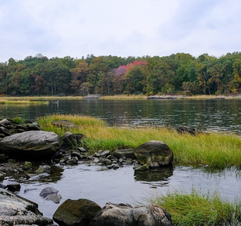 Soccer Field image 2