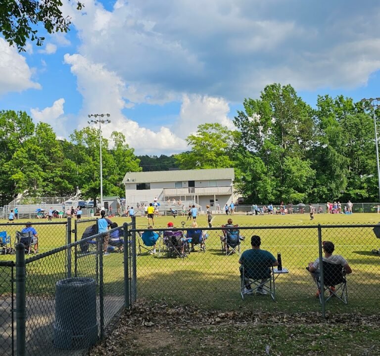 Soccer Field image 2