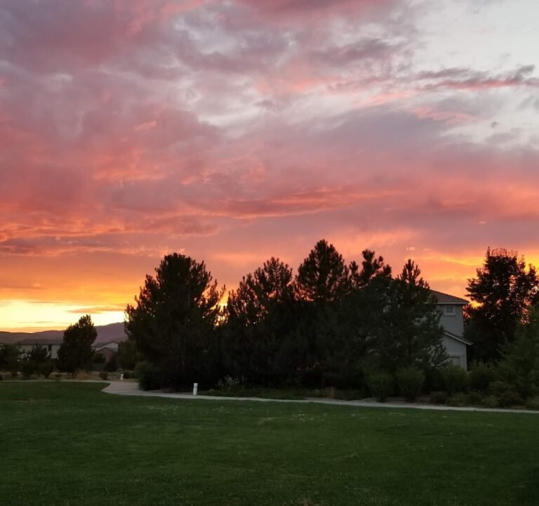 Soccer Field image 2