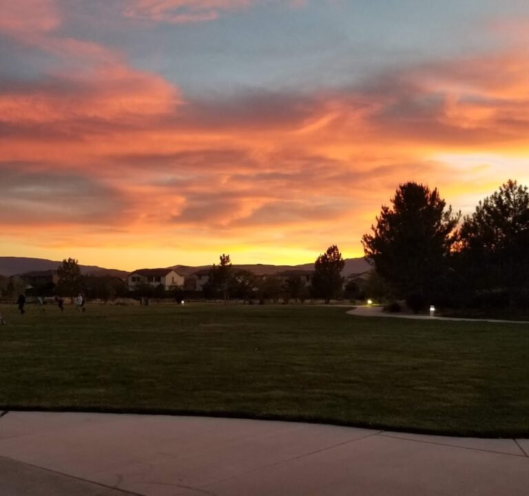 Soccer Field image 3