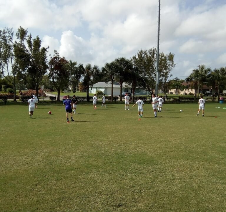 Soccer Field image 2