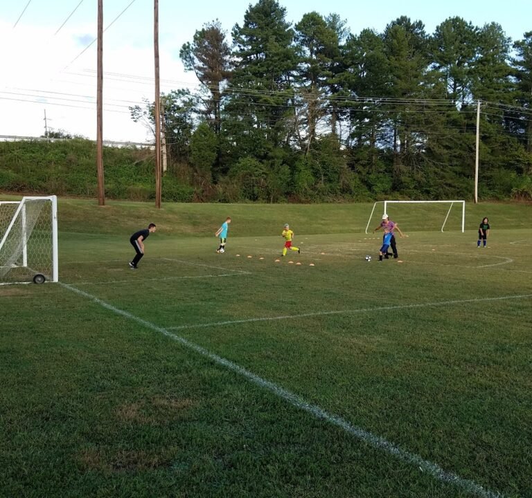 Soccer Field image 2