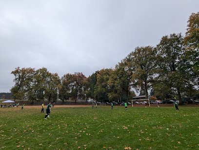 Soccer Field image 1