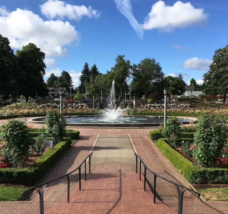 Soccer Field image 2