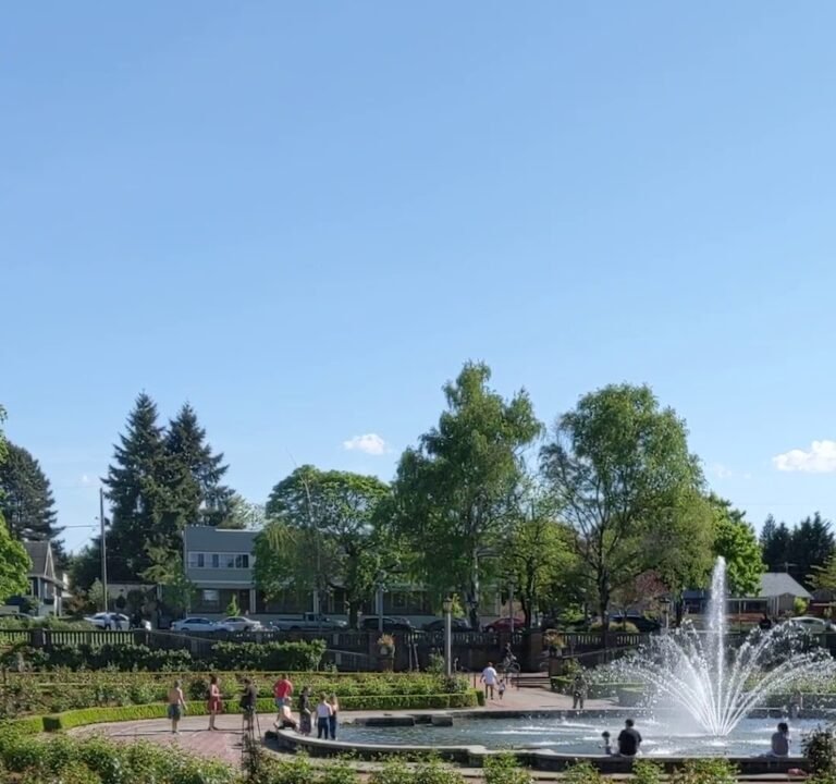 Soccer Field image 4