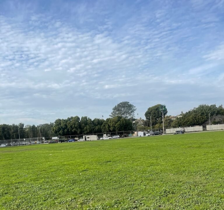 Soccer Field image 2