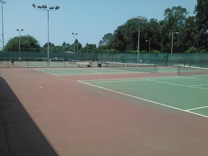 Soccer Field image 1