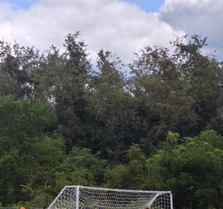 Soccer Field image 2