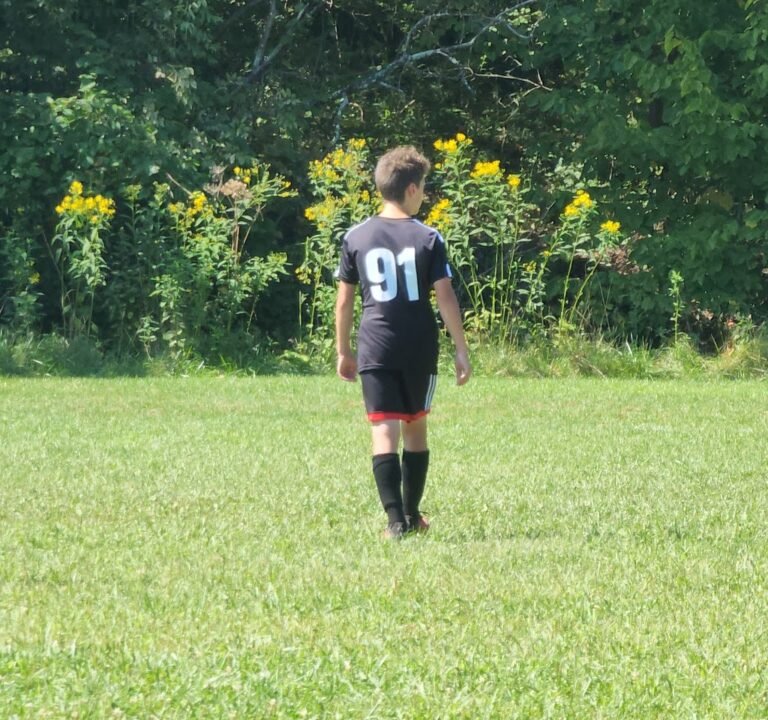 Soccer Field image 3