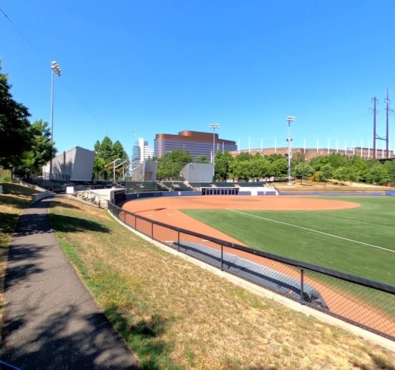 Soccer Field image 4