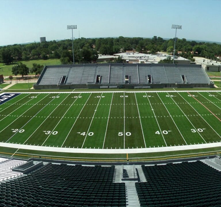 Soccer Field image 2