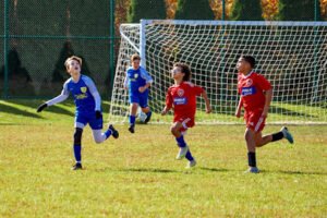 Soccer Field image 1