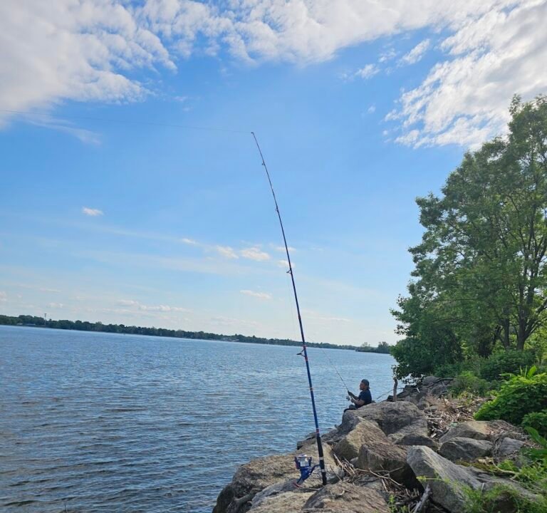 Soccer Field image 3