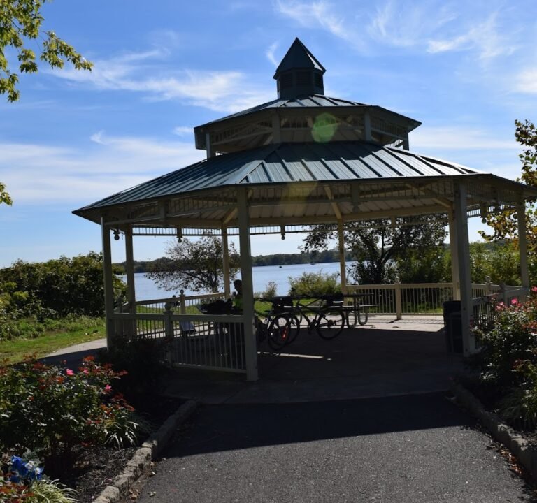 Soccer Field image 2