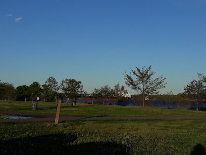 Soccer Field image 1