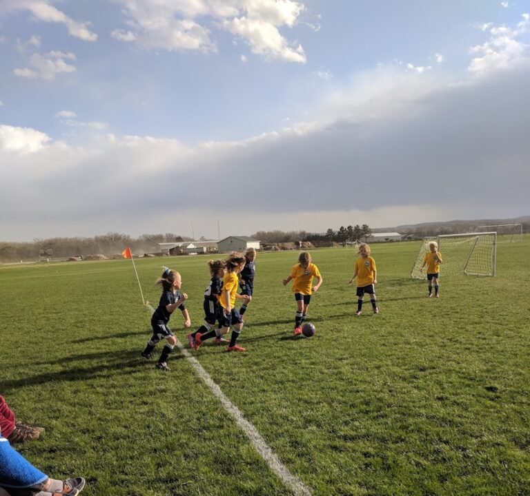 Soccer Field image 3