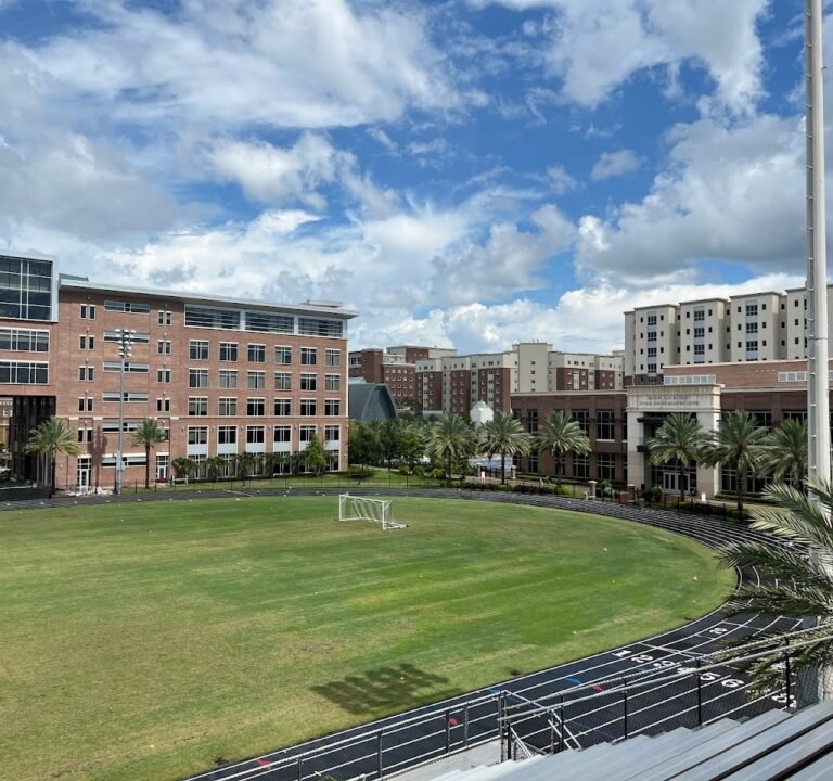 Soccer Field image 2