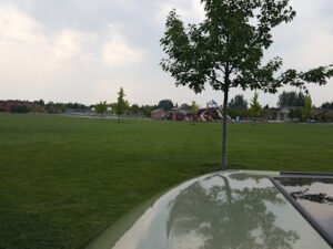 Soccer Field image 1