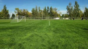 Soccer Field image 1