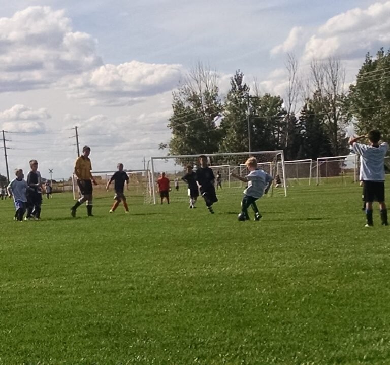 Soccer Field image 3