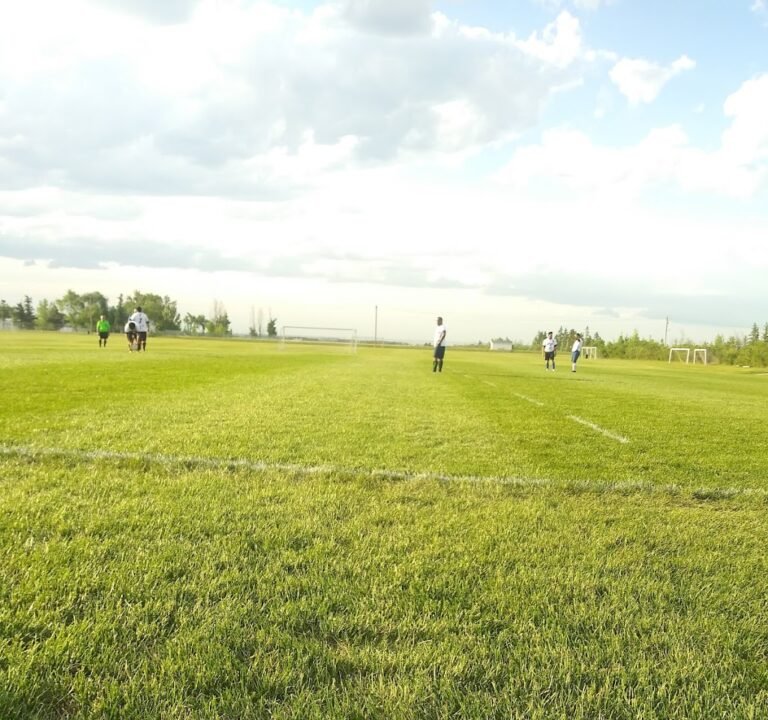 Soccer Field image 2