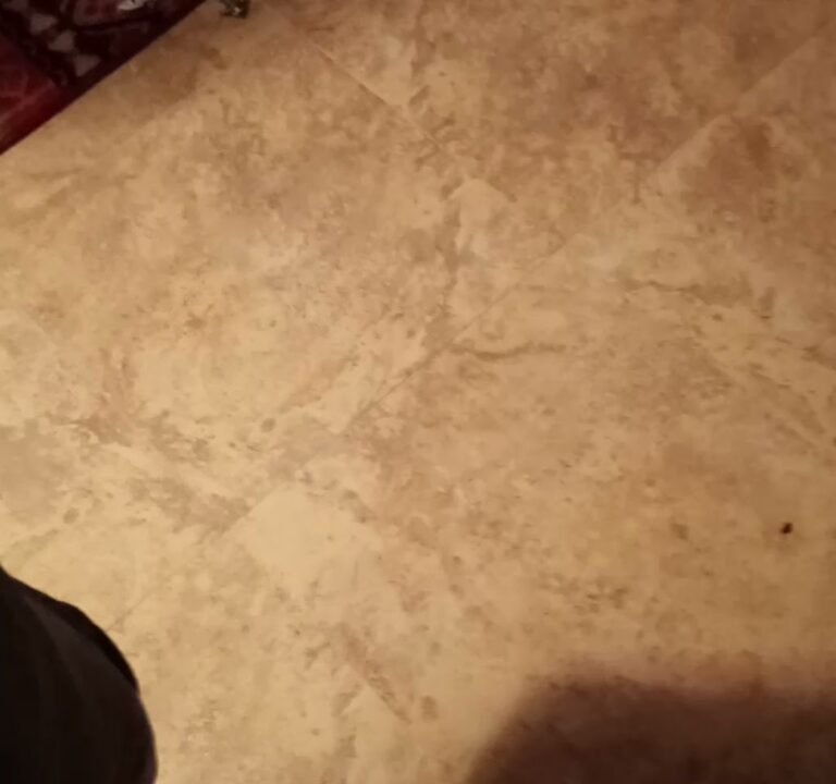 Soccer Field image 4