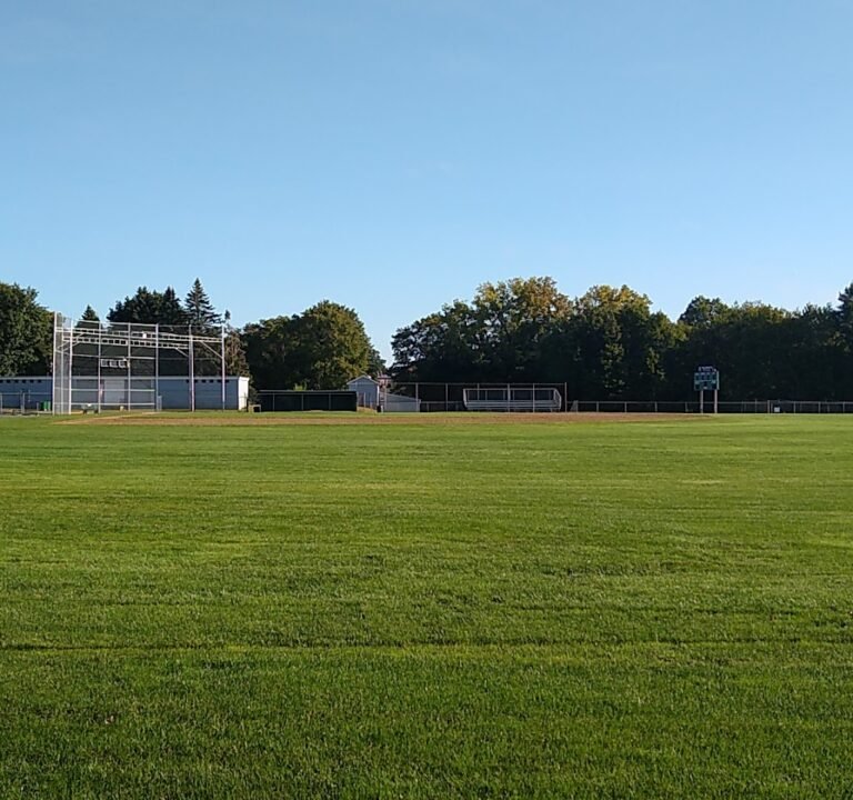 Soccer Field image 2