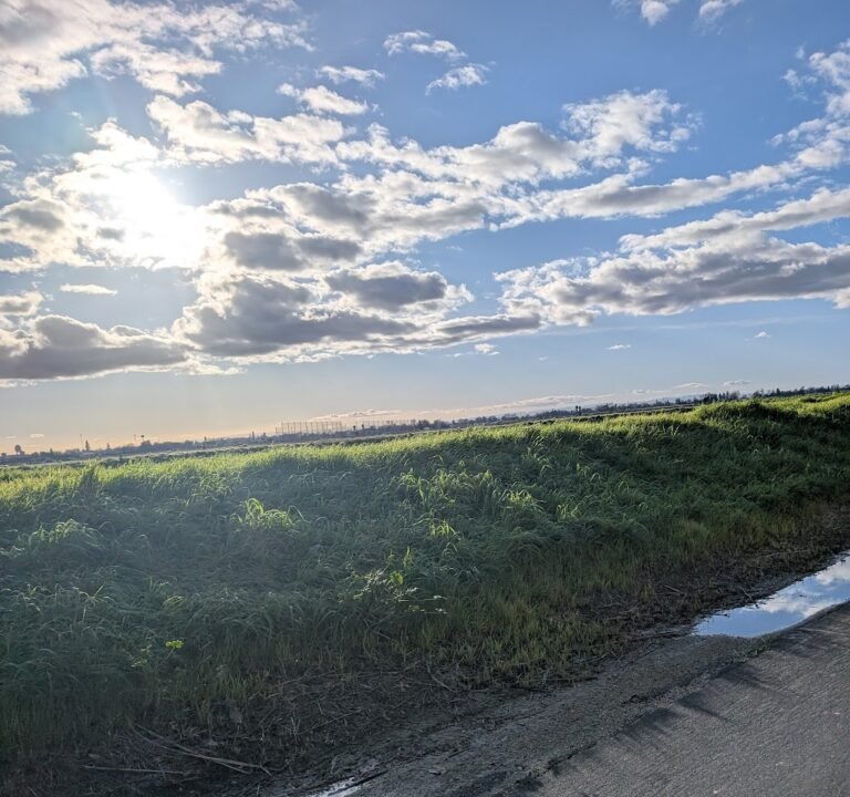 Soccer Field image 3