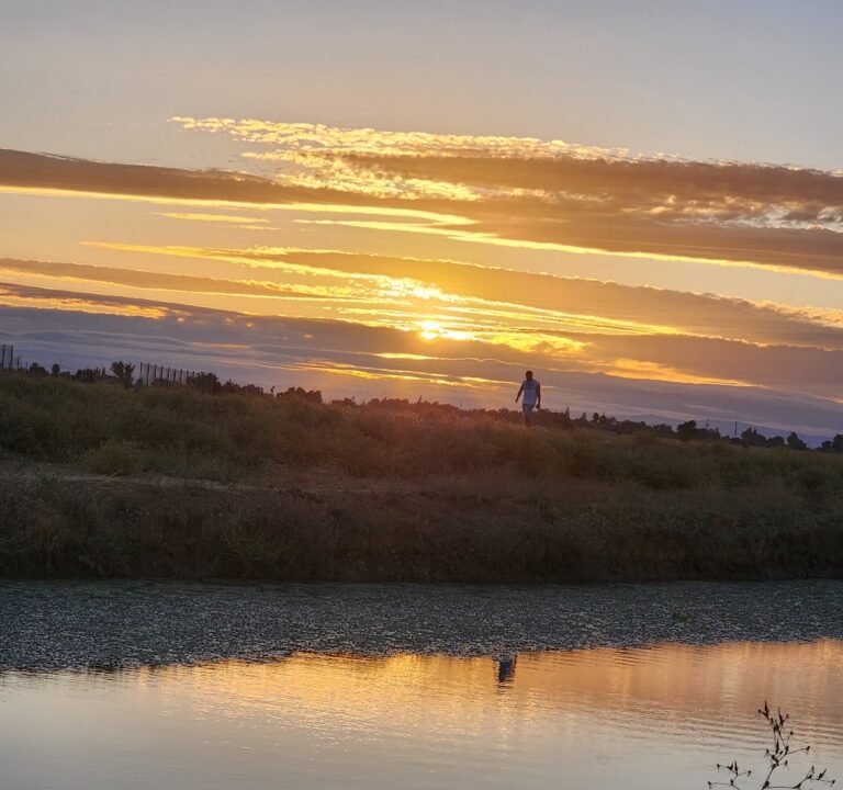 Soccer Field image 2