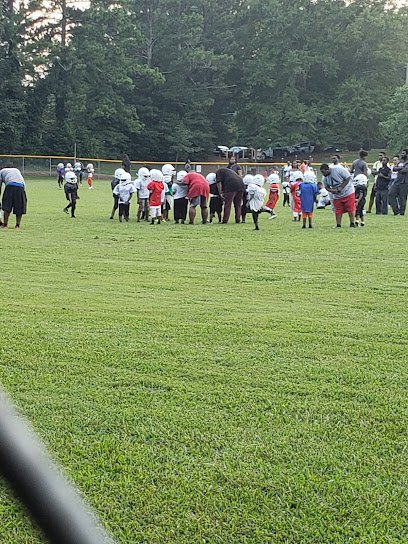 Soccer Field image 1