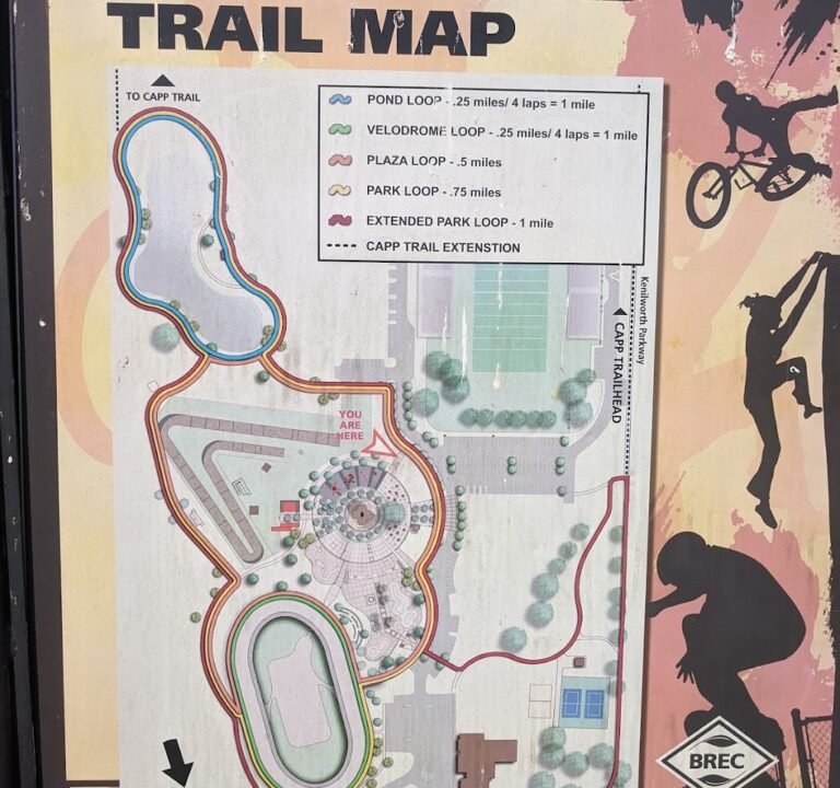 Soccer Field image 3