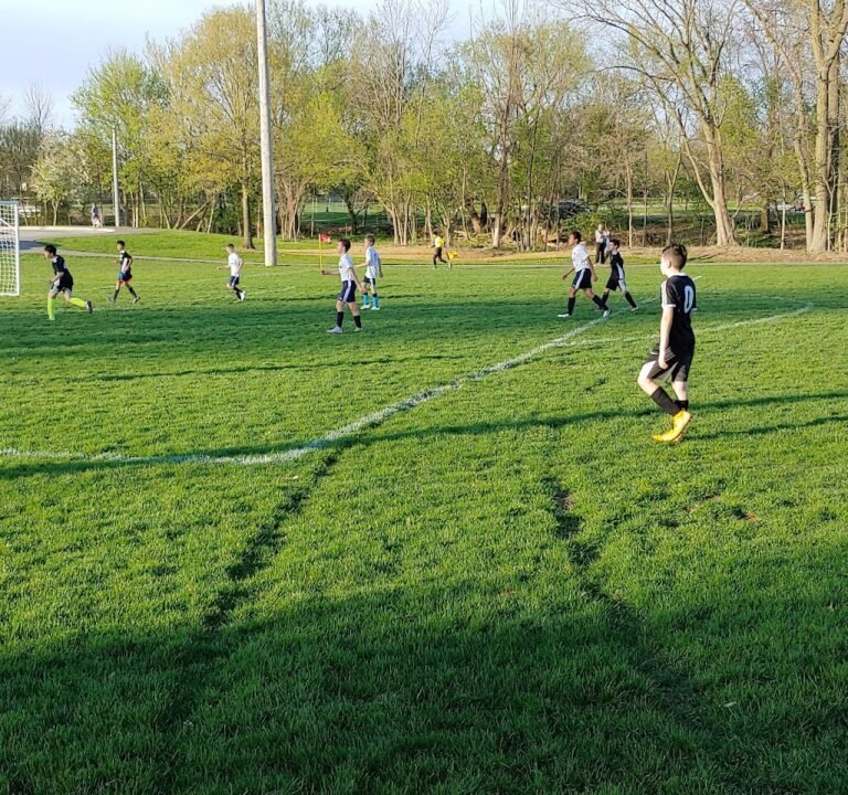 Soccer Field image 2