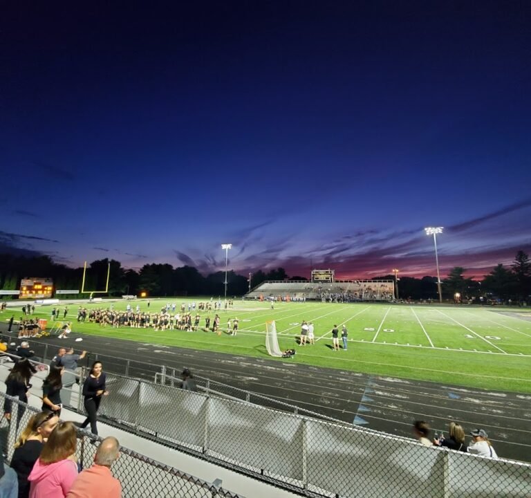 Soccer Field image 2