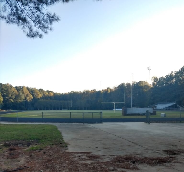 Soccer Field image 2