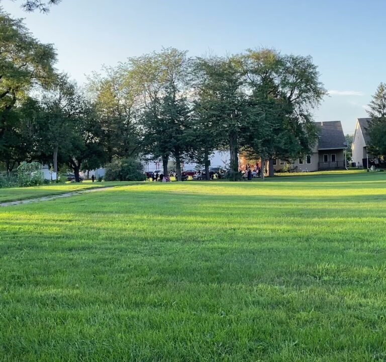 Soccer Field image 3