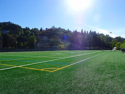 Soccer Field image 1